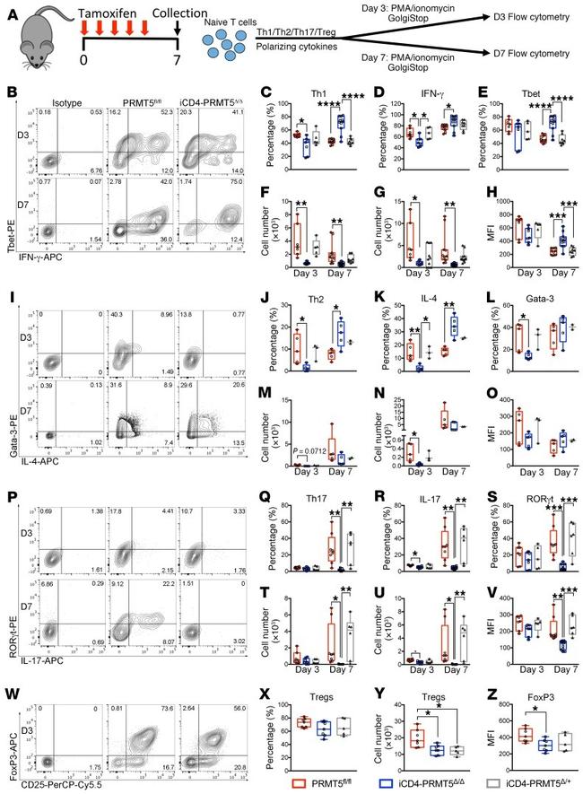 CD25 Antibody in Flow Cytometry (Flow)