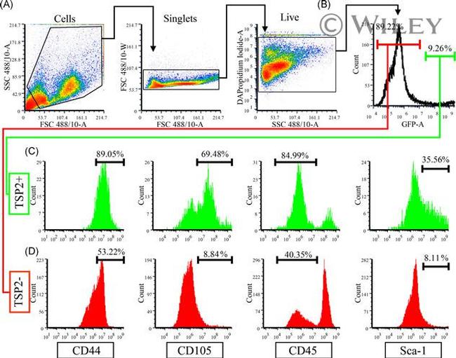 CD44 Antibody in Flow Cytometry (Flow)