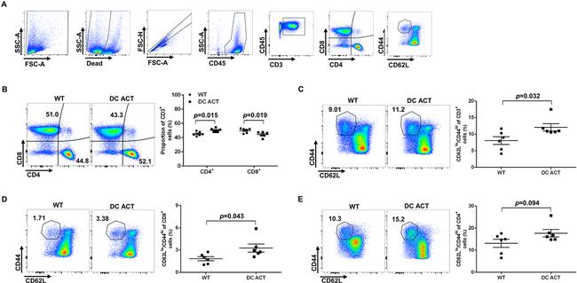 CD44 Antibody in Flow Cytometry (Flow)