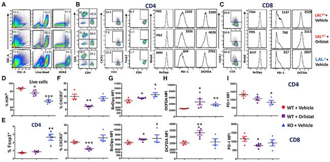 FOXP3 Antibody in Flow Cytometry (Flow)