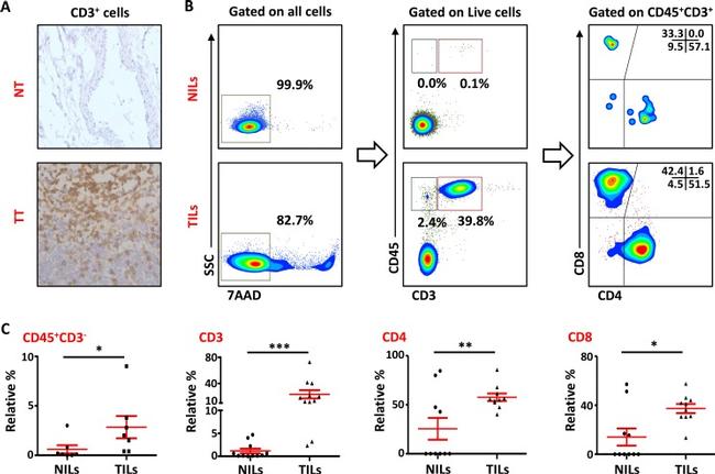 CD45 Antibody in Flow Cytometry (Flow)